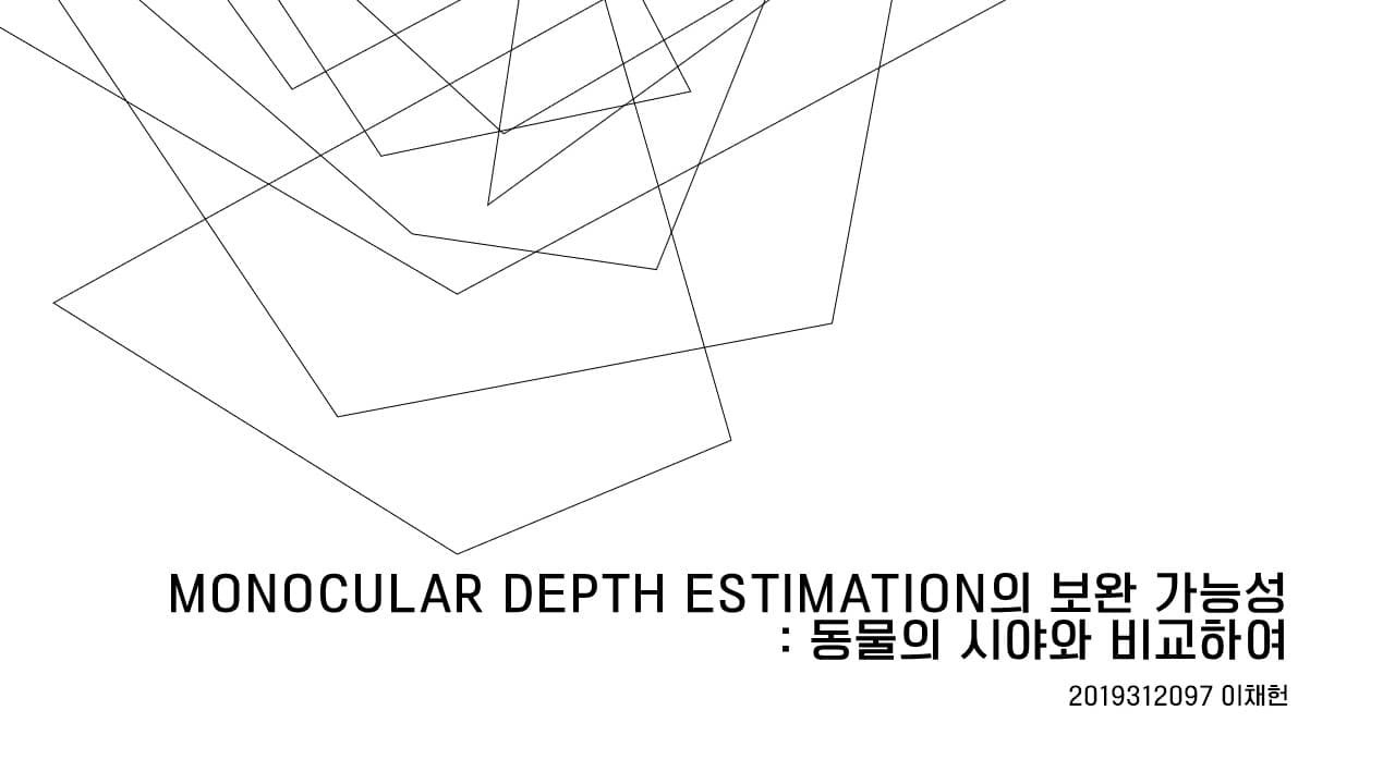 Monocular Depth Estimation의 보완 가능성 : 동물의 시야와 비교하여