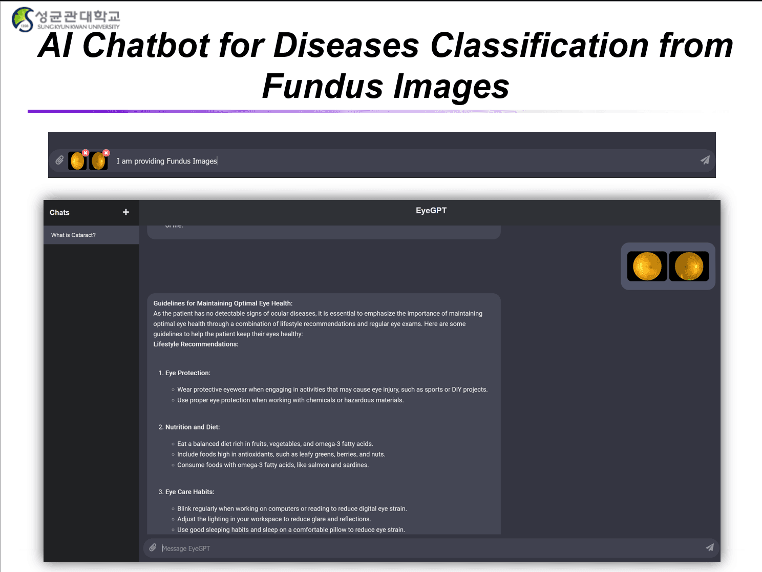 AI Chatbot for Disease Classification from Fundus Images