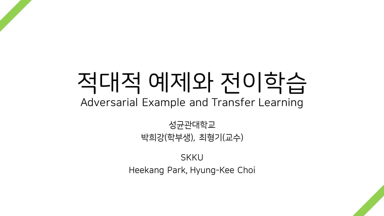 적대적 예제와 전이학습 Adversarial Example and Transfer Learning