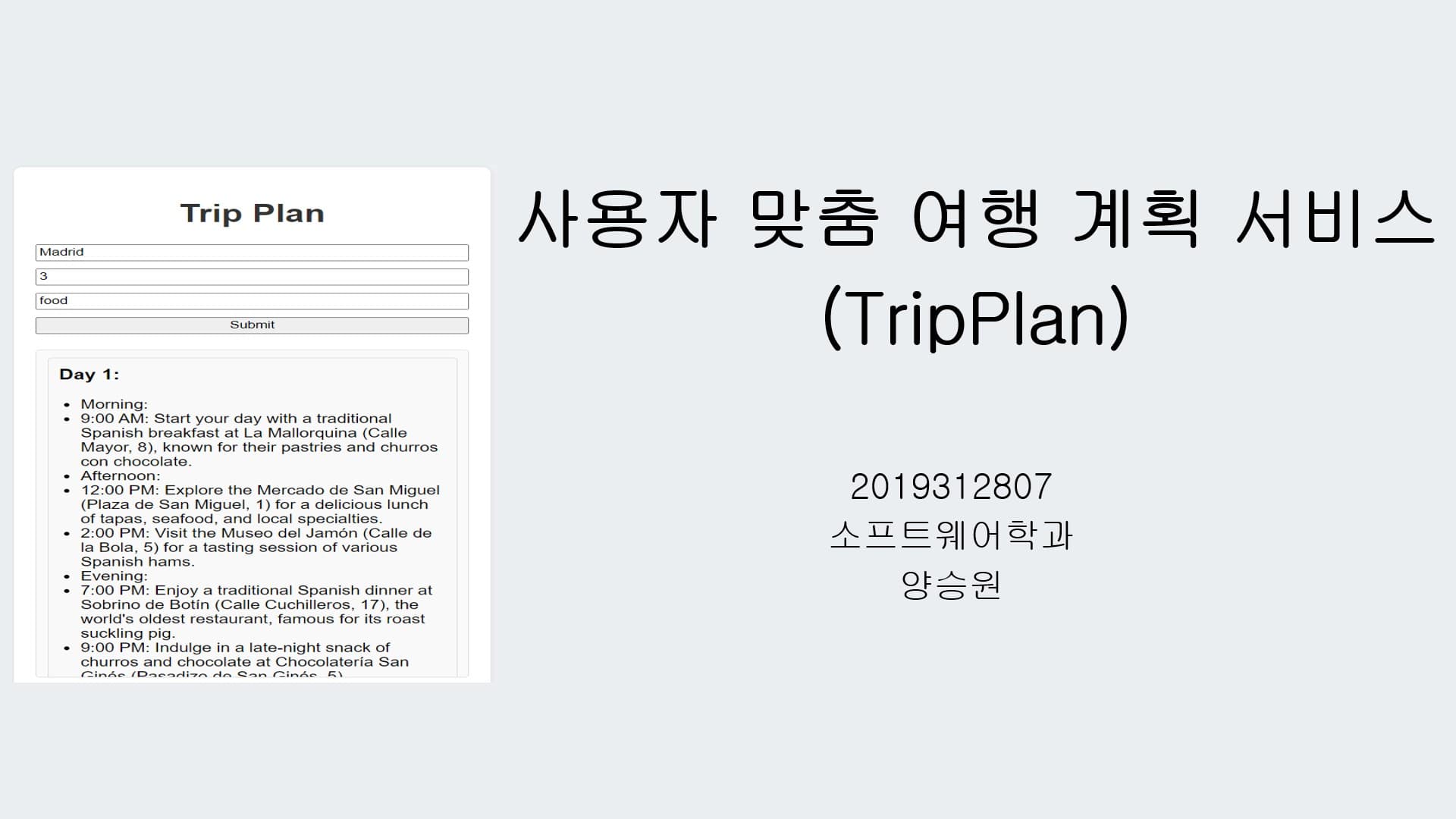 사용자 맞춤 여행 계획 서비스(TripPlan)